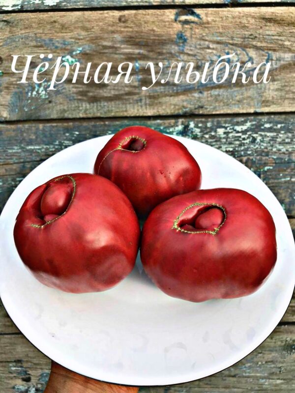 Чёрная улыбка