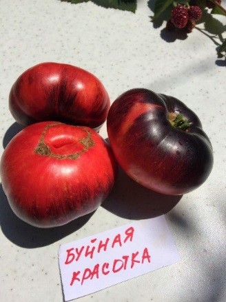 Буйная красотка. Lovely lush.