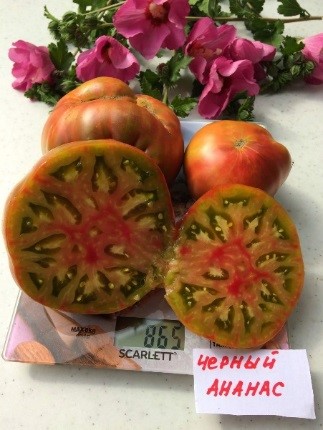 Чёрный ананас. Black Pineaple,    Бельгия.