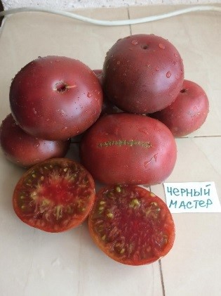 Чёрный мастер. Black Master,   США.