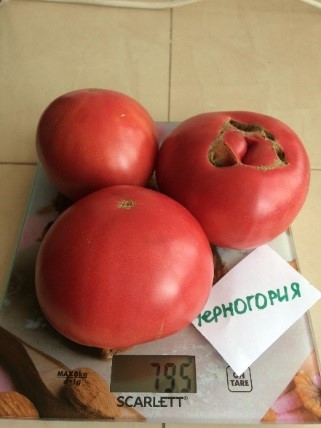 Черногория.