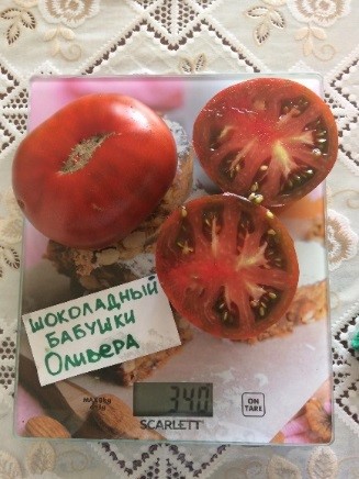 Шоколадный бабушки Оливера. Grandma Oliver`s Chocolate,   США.
