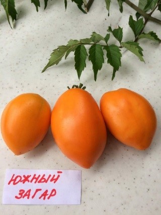 Южный загар.